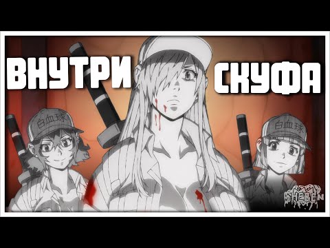 Видео: ЧТО ВНУТРИ СКУФА? | Клетки за работой Тёмная сторона