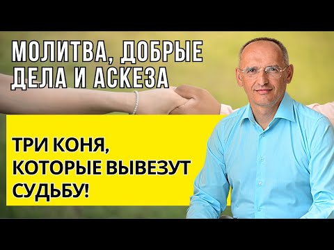Видео: Молитва, добрые дела и аскеза - три коня, которые вывезут судьбу! Торсунов ле
