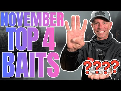 Видео: 🔥4 лучших наживки для ловли окуня в ноябре (север и юг!)🎣