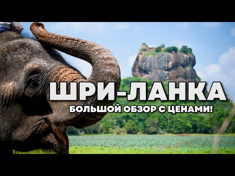 Видео: ШРИ-ЛАНКА! Обзор и советы туристам. Цены на еду, жильё, байк, серфинг, что посмотреть?