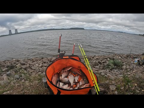 Видео: Дикий ЖОР подлещика на АТОМНОМ озере, такого КЛЁВА я не ожидал. Рыбалка на доки. Ловля на кормушки.
