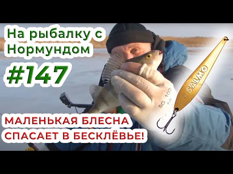 Видео: Маленькая БЛЕСНА СПАСАЕТ в бесклёвье / На рыбалку с Нормундом #147