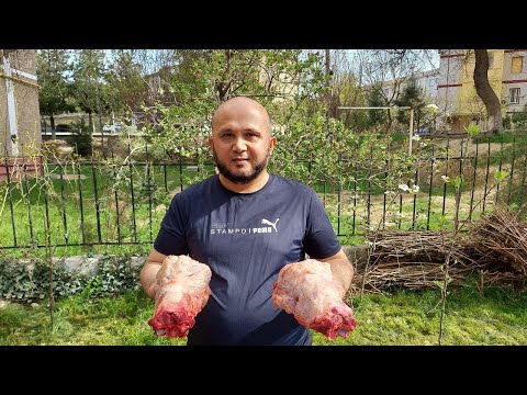 Видео: ШЕЯ БАРАНИНА НА КОСТРЕ, БЎЙИН ГЎШТИДАН ҚОЗОН КАБОБНИНГ ДОДАСИ