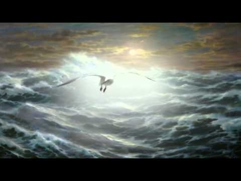 Видео: ОДИНОКАЯ ПТИЦА - исп. Артем Симонов, ст. Виктор Пурга