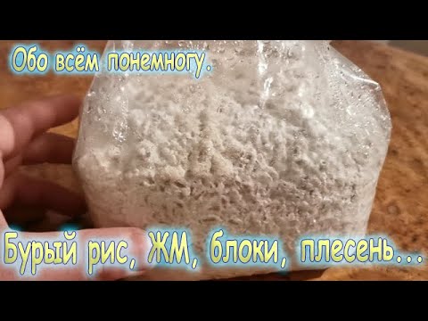 Видео: 23. Обо всём понемногу с моей домашней грибной фермы.
