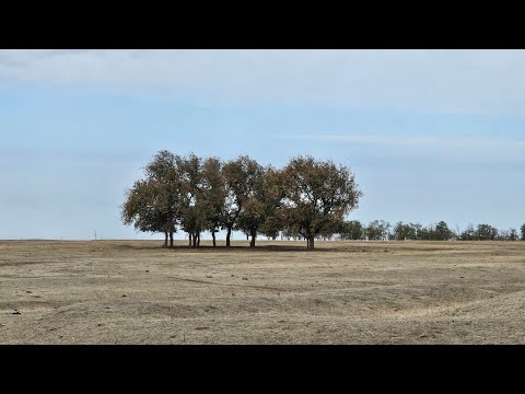 Видео: Степь осень ветер,  хорошие находки.