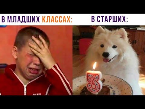 Видео: КОГДА ПОЛУЧИЛ ТРОЙКУ ))) Приколы | Мемозг 1233