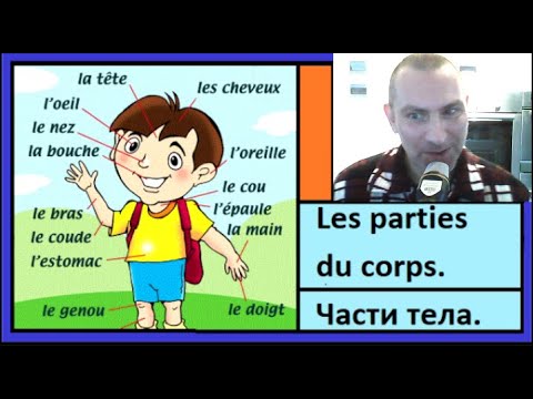 Видео: Les parties du corps - Части тела - 250 самых важных слов французкого языка в контексте