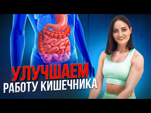 Видео: 4 упражнения и КИШЕЧНИК как НОВЫЙ | Улучшаем работу пищеварения и кишечника БЕЗ ТАБЛЕТОК