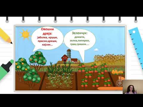 Видео: II одделение - Природни науки - Локални растенија