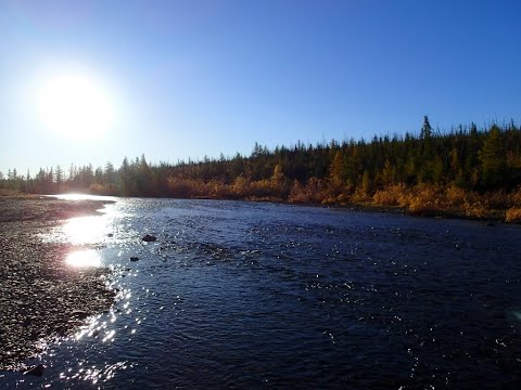 Видео: 2024.09.14. Норильск. Сказочный отдых в районе Кайеркана и Амбарки