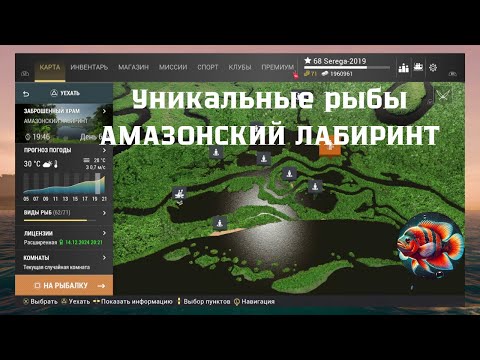 Видео: Уникальные рыбы Амазонский Лабиринт. Fishing Planet.