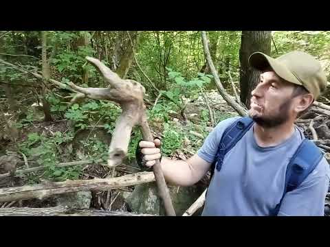 Видео: Дикое ущелье-первозданные места. Экспедиция №38