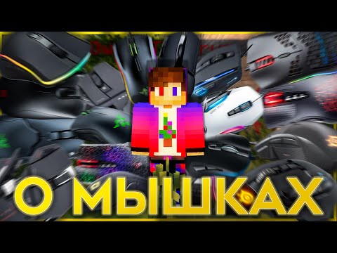 Видео: Поговорим о мышках
