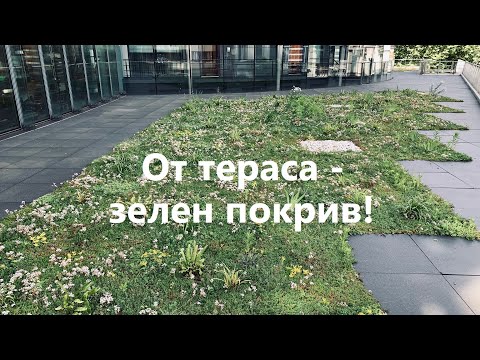 Видео: От тераса - зелен покрив!