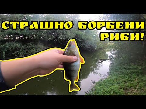 Видео: РАЗБИХ РЕЧНИТЕ КОСТУРИ...С ЕДНА ПРИМАМКА!