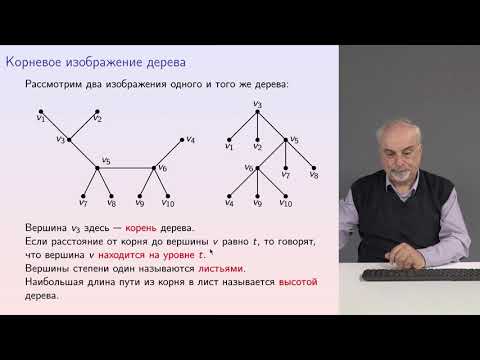 Видео: Графы 10 Корневое изображение дерева