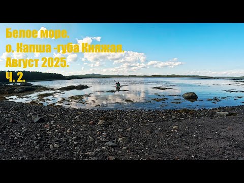 Видео: Белое море. о. Капша- губа Княжая. Ч.2