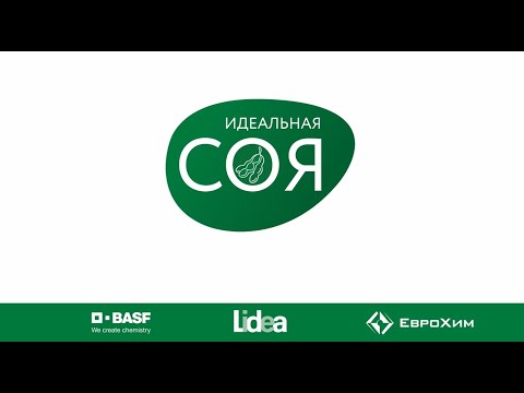 Видео: Как вырастить идеальную сою? Часть 1.