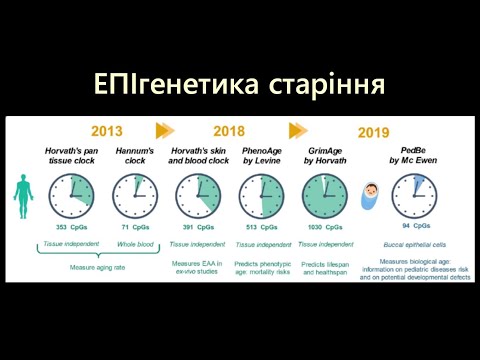 Видео: Генетичні та епігенетичні механізми старіння 2 частина