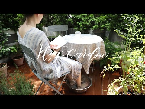 Видео: Специальный энергетический отдых находится недалеко. / базалик pesto производства / садоводство