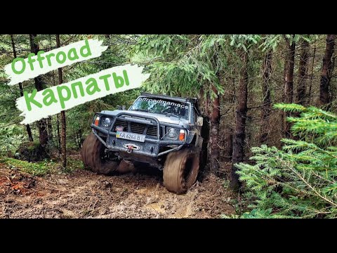 Видео: Patrol, Gelenvagen и Mitsubishi Весь день на лебедках!