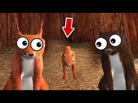 Видео: РОДИЛСЯ БЕЛЬЧОНОК в СИМУЛЯТОР БЕЛКИ 2 ОНЛАЙН