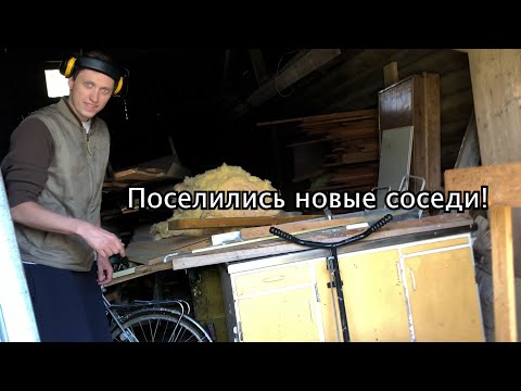 Видео: Наступает долгожданное лето в Дрангедале)))