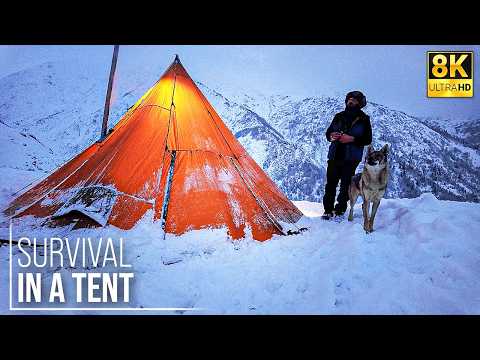 Видео: Я выжил в снежной буре в палатке! | Mr Wild Nature