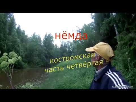 Видео: Нёмда костромская часть четвёртая