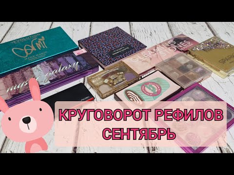 Видео: Круговорот рефилов! Есть пустышки! Отчет за 2 месяца! 
