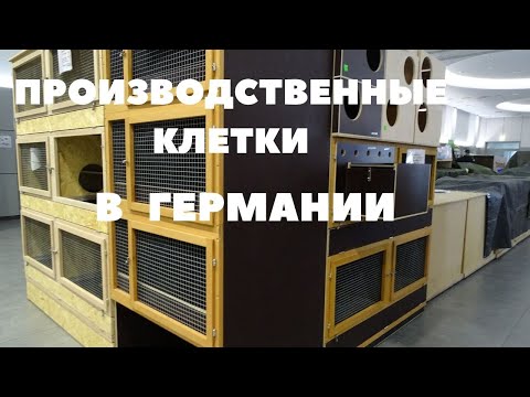 Видео: Немецкие клетки для кроликов, шедовое содержание