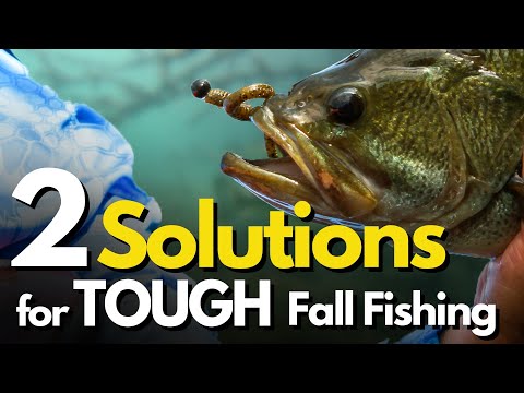 Видео: Почему ловля окуня сейчас так СЛОЖНА? (2 простых решения)