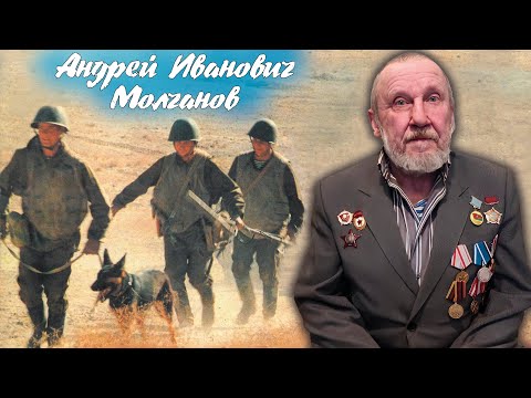 Видео: Дорогами Афганистана.