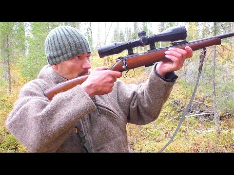 Видео: ОСЕННЯЯ ОХОТА НА РЯБЧИКА С МЕЛКАШКОЙ / ПРИШЛОСЬ ДОБИВАТЬ НА ЗЕМЛЕ ПТИЦУ / В ТАЙГЕ ЗАТИШЬЕ.