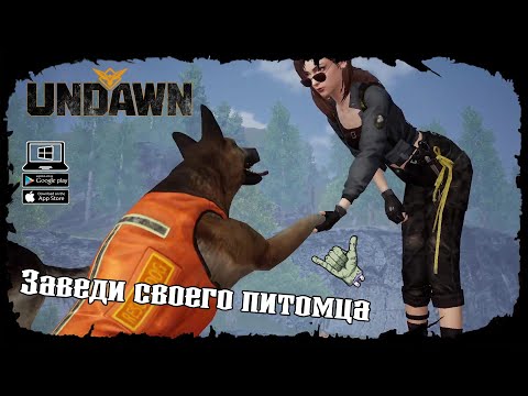 Видео: Система питомцев ★ Undawn ★ Undawn Mobile