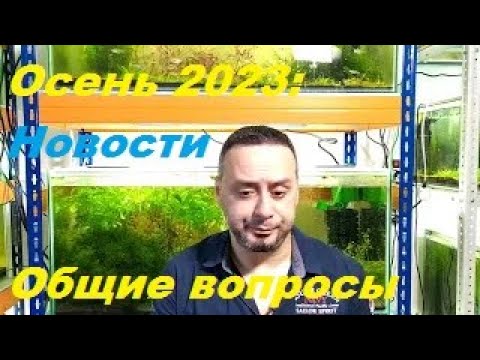 Видео: Осень 2023. Обо всем понемногу