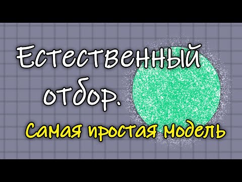 Видео: Естественный отбор. Самая простая модель
