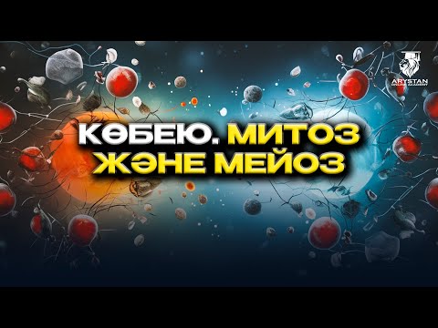 Видео: Көбею. Митоз. Биология ҰБТ-2024