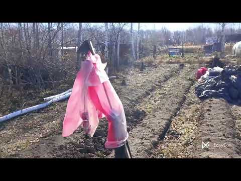 Видео: разбираю полив, первые холода 🥶