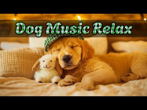 Видео: Музыка сна для собак 💤 Лечебные мелодии для расслабления, снижения стресса и крепкого сна 🐕💕