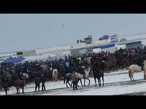 Видео: 19.12.2024 көкпар 2 часть #көкпар #horse #music #music #rek