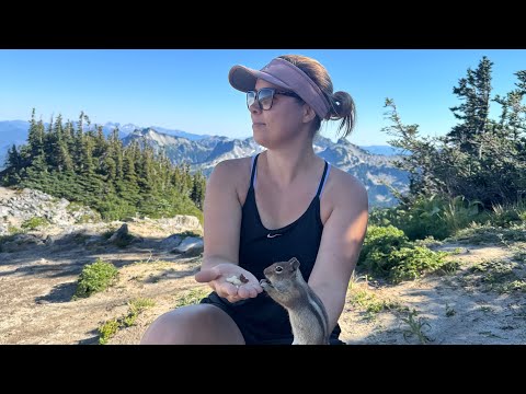 Видео: Америка для всех кто хочет. Но стоит ли оно того? 