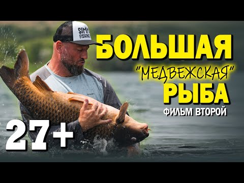 Видео: БОЛЬШАЯ "МЕДВЕЖСКАЯ" РЫБА. НОВЫЙ РЕКОРД ПО КАРПУ. ФИЛЬМ ВТОРОЙ.