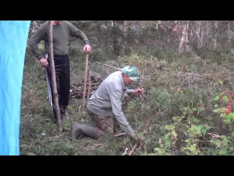 Видео: Мельничное г  Арму и обратно