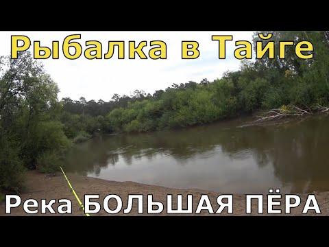 Видео: Рыбалка в Тайге на река БОЛЬШАЯ ПЁРА недалеко от пгт.ЦИОЛКОВСКИЙ Амурской области.