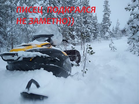 Видео: Сравнить несравненное ! или Батл саммита 800 и скандика 900 в проходимости.Нач .см.про ..Черныша..