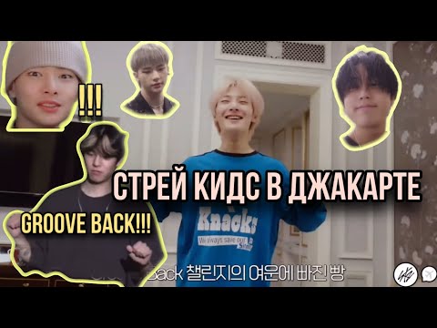 Видео: стрей кидс в Джакарте