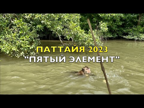 Видео: ПАТТАЙЯ Экскурсия: ДЖУНГЛИ, РЕКИ, ХРАМЫ!  Отдых в ТАИЛАНДЕ ! PATTAYA.