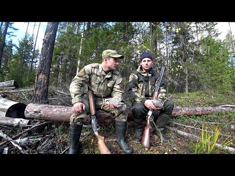 Видео: Охота на рябчика в тайге. Чай у костра, подняли глухарей.